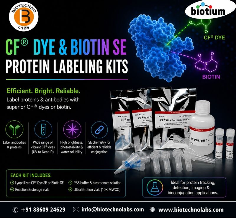 Upgrade your protein labeling with precision and brightness! ⭐