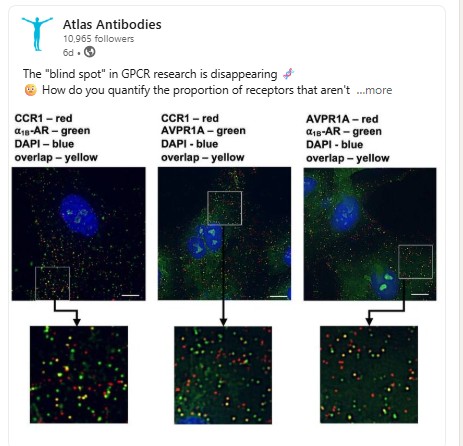 MolBoolean™ Technology for GPCR Spatial Biology Research-Atlas Antibodies|BTL Biotechno Labs Pvt Ltd
