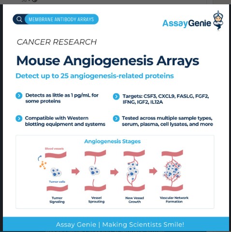 Assay Genie Mouse Angiogenesis Array Available in India Through BTL Biotechno Labs Pvt. Ltd.