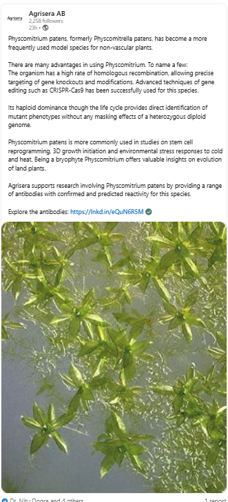 🌱 Physcomitrium patens: A Powerful Model for Plant Research