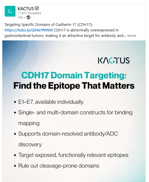 🎯 Targeting Specific Domains of #CDH17