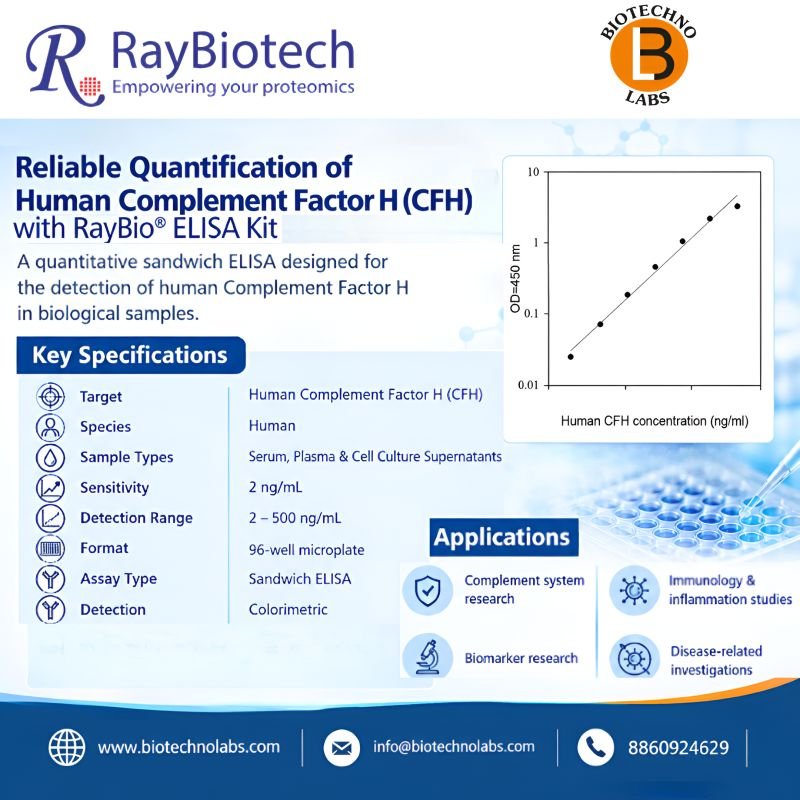 🧬 Reliable Quantification of Human Complement Factor H (CFH)