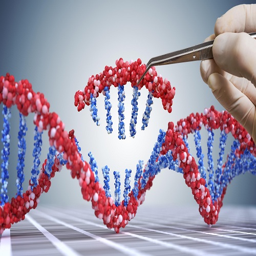 DNA Editing Services