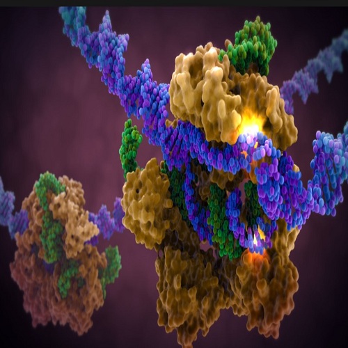 DNA-RNA Editing
