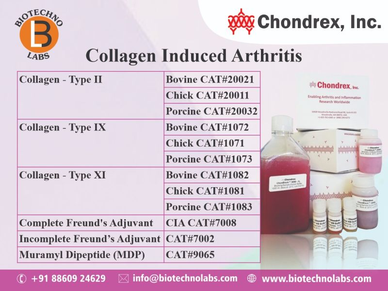 Collagen Induced Arthritis