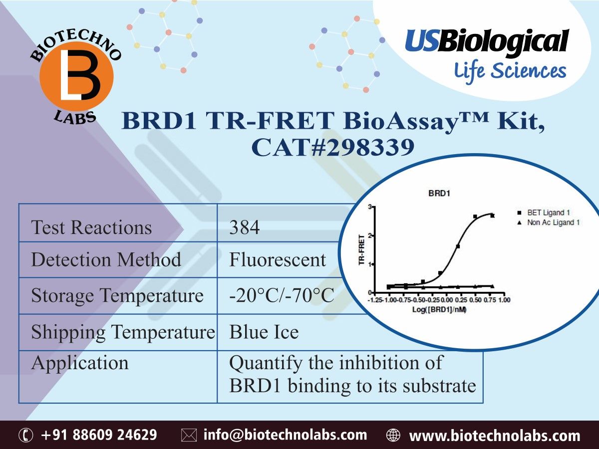 BRD1 TR-FRET BioAssay™ Kit