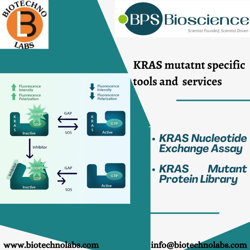 KRAS Mutant Specific Tools And Services