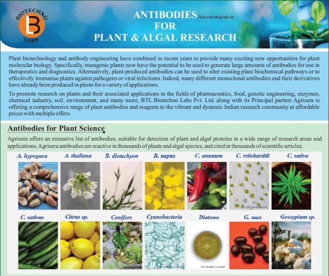 Antibodies For Plant & Algal Research