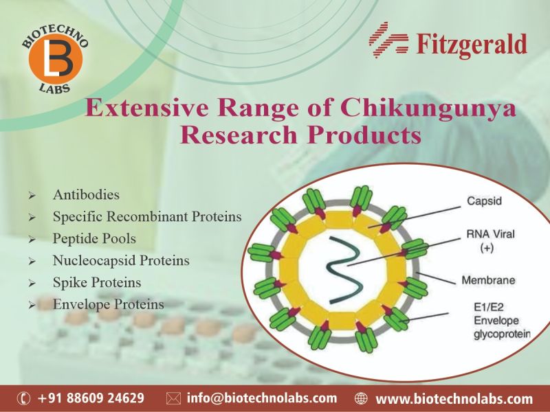 Extensive Range of Chikungunya Research Products