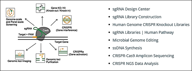 other-services-biotechnolabs