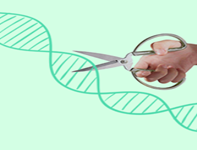 services2-biotecholabs