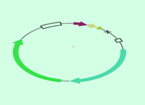 services3-biotecholabs