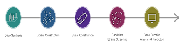 standard-protocol-biotechnolabs